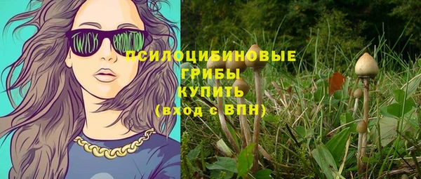 а пвп мука Алзамай