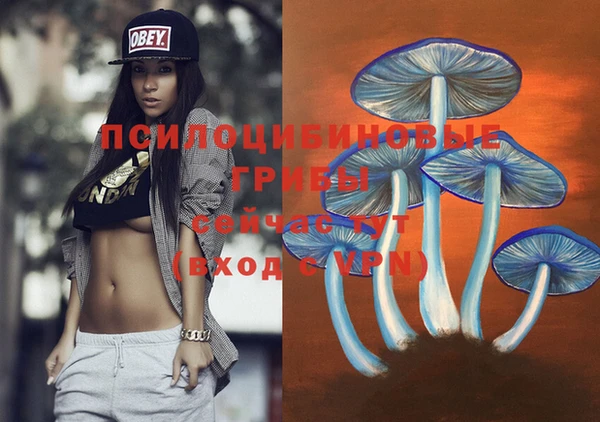 COCAINE Алексеевка