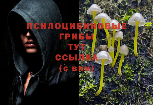MDMA Premium VHQ Арсеньев