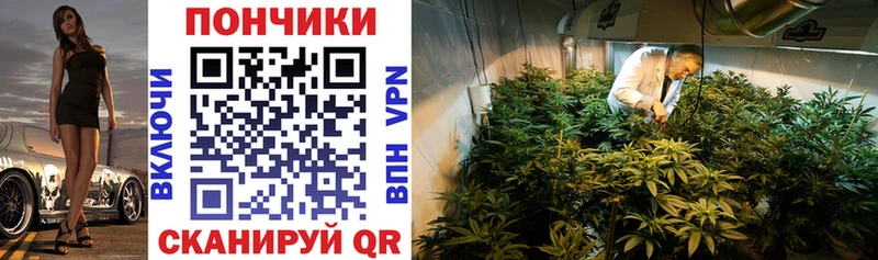 MEGA ССЫЛКА  Пугачёв  Бошки марихуана LSD WEED  купить наркоту 